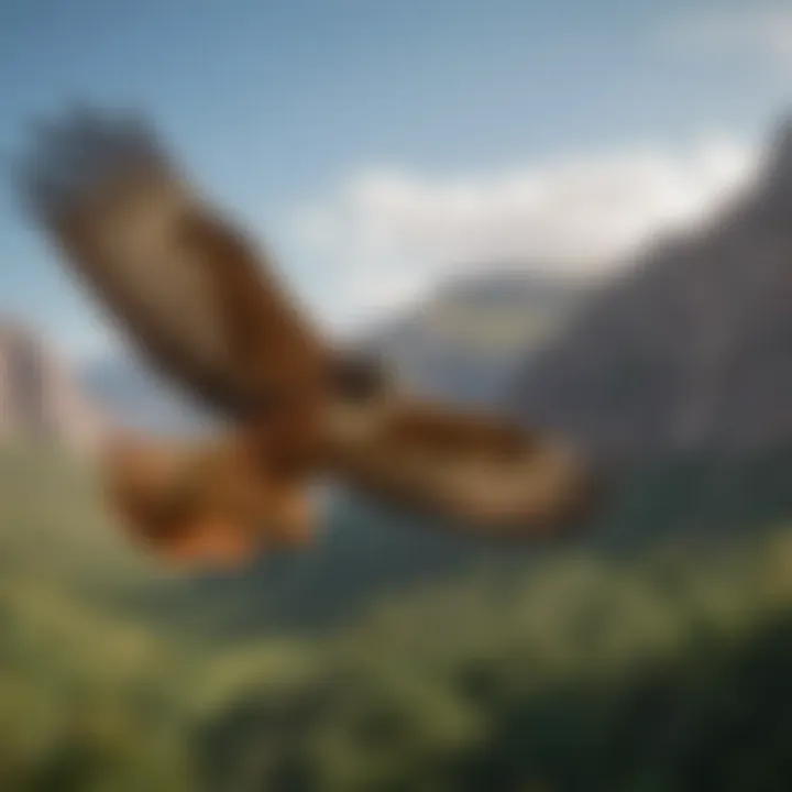 A red-tailed hawk soaring high above a lush landscape, demonstrating its impressive wingspan.