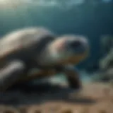 A serene underwater scene depicting a sea turtle resting on the ocean floor.