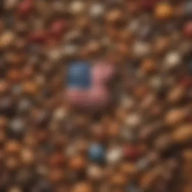 A vibrant collage representing the cultural diversity found in the United States.