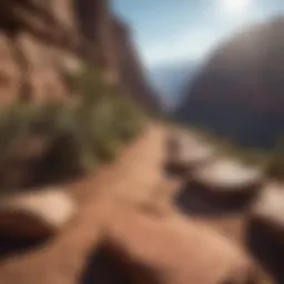 A panoramic view of the Grand Canyon showcasing its vastness and intricate rock formations.