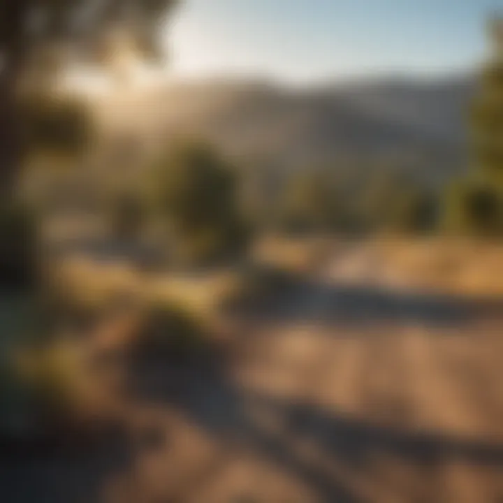 A bustling Silicon Valley landscape, representing innovation and economic growth.