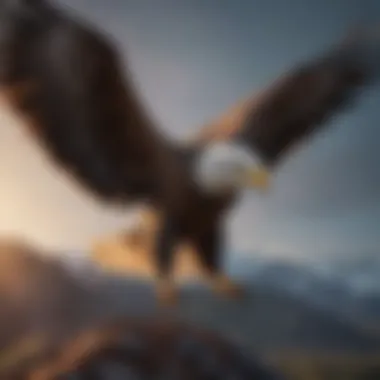 Female eagle in flight, highlighting her size and plumage.