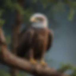 Male eagle perched on a branch showcasing its distinctive features.