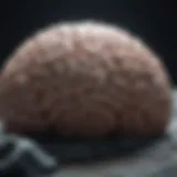 Illustration of brain activity during sleep