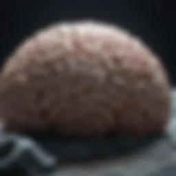 Illustration of brain activity during sleep