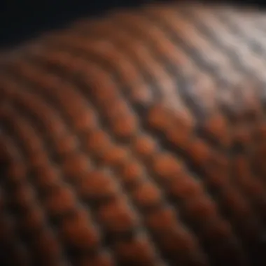 Vibrant Rattlesnake Scales