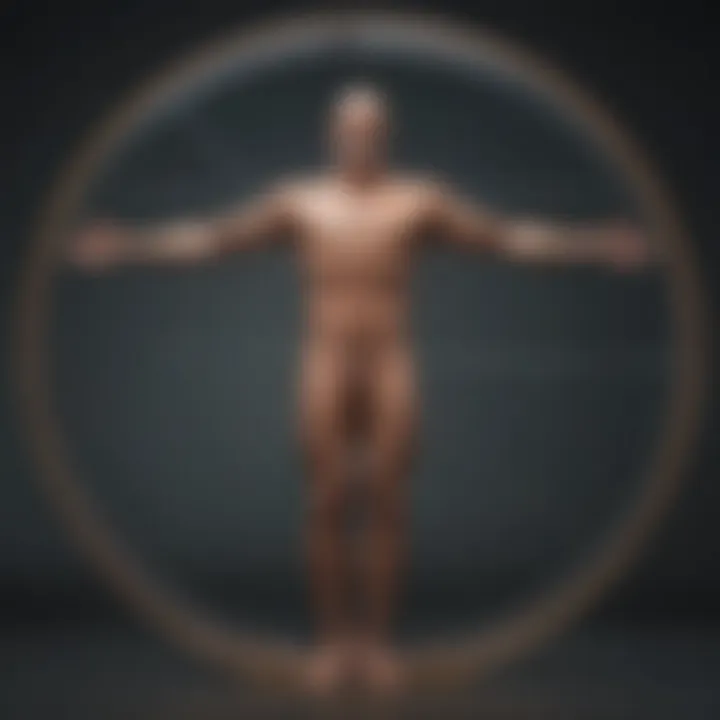 Vitruvian Man: The Perfect Balance of Form Vitruvian Man: Proportions in Harmony