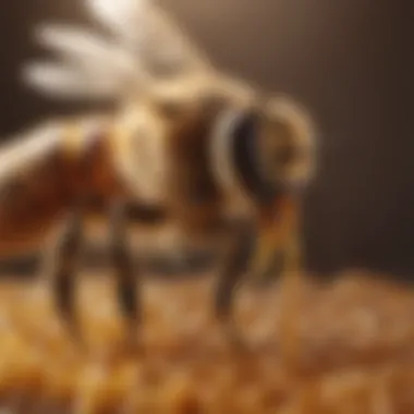 Masterpiece in Beeswax Macro shot of a honey bee delicately constructing a wax comb