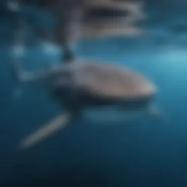 Whale Shark in Its Natural Habitat A majestic whale shark swimming gracefully in clear blue water.