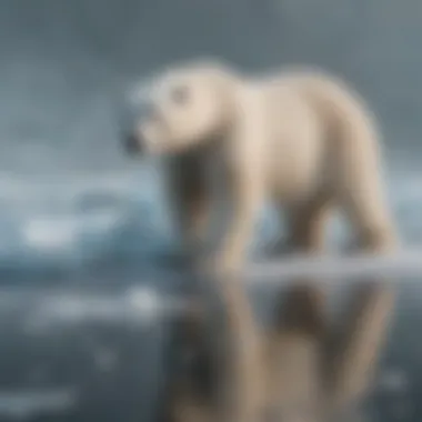Polar Bears on Melting Sea Ice Polar bears navigating through melting sea ice