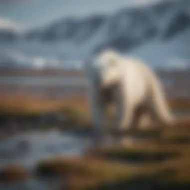 A map highlighting the regions where polar bears are found
