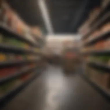 Zero Waste Grocery Shopping